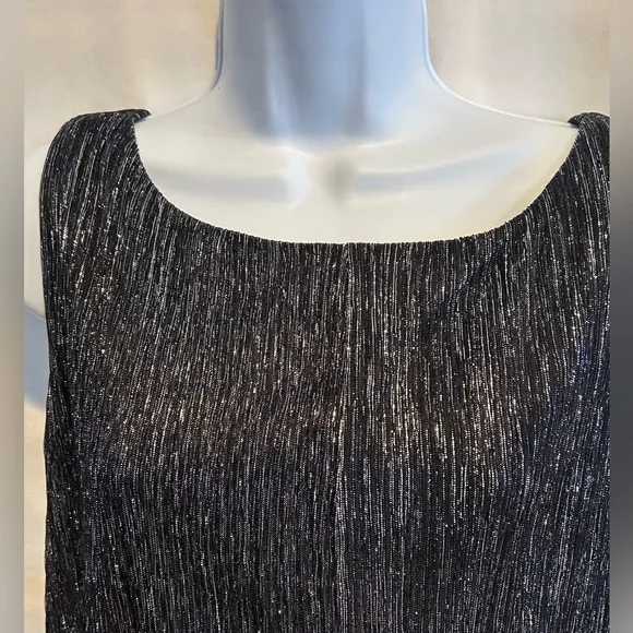SLNY size 16 dress, black and silver with layers. Sleeveless and sheer w/ slip - Picture 7 of 9